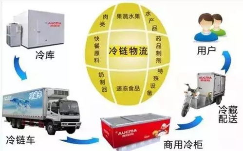 冷鏈物流 突破瓶頸、抓住機遇，推動普通貨運轉型升級